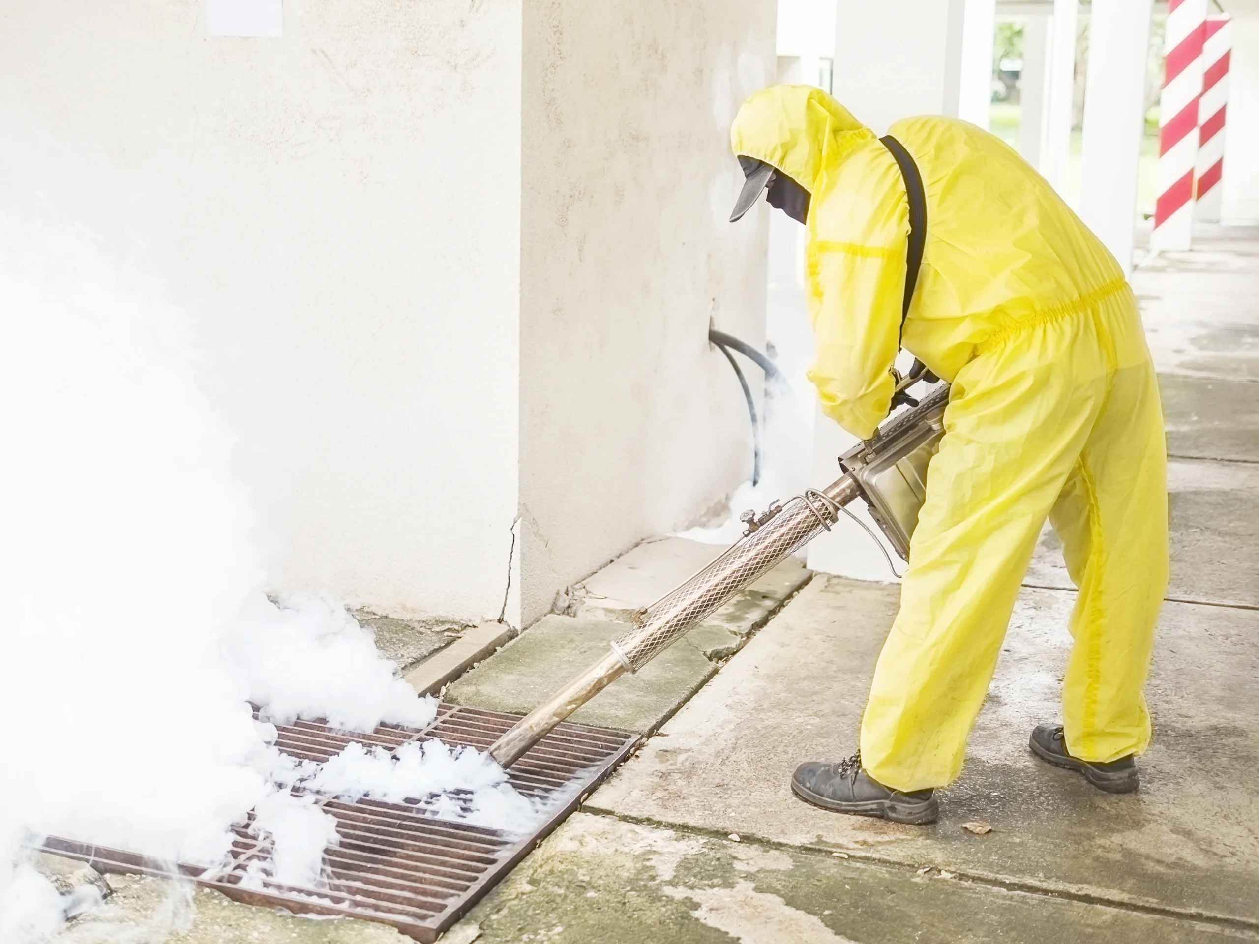 Termite Treatment
