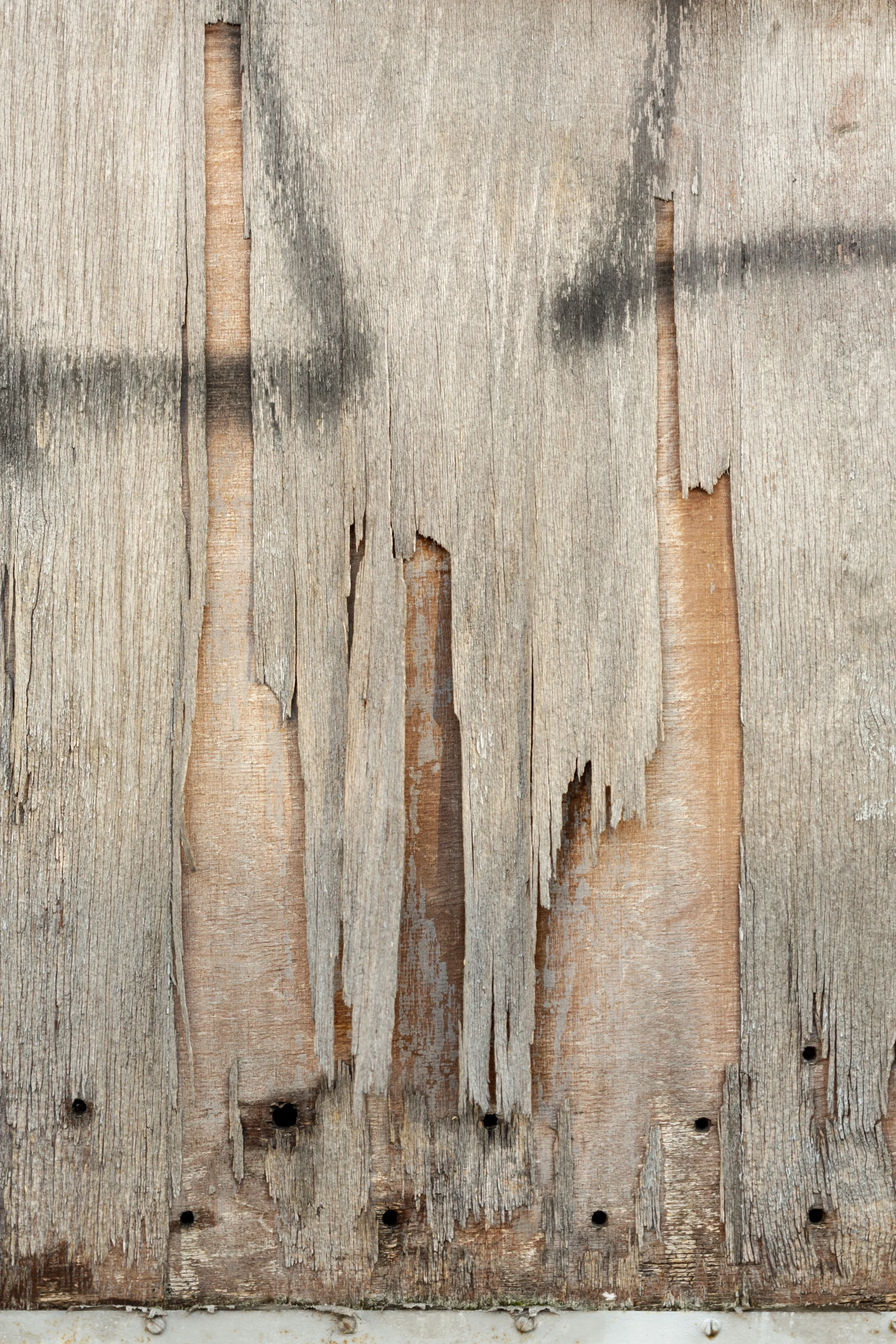 Timber Preservation