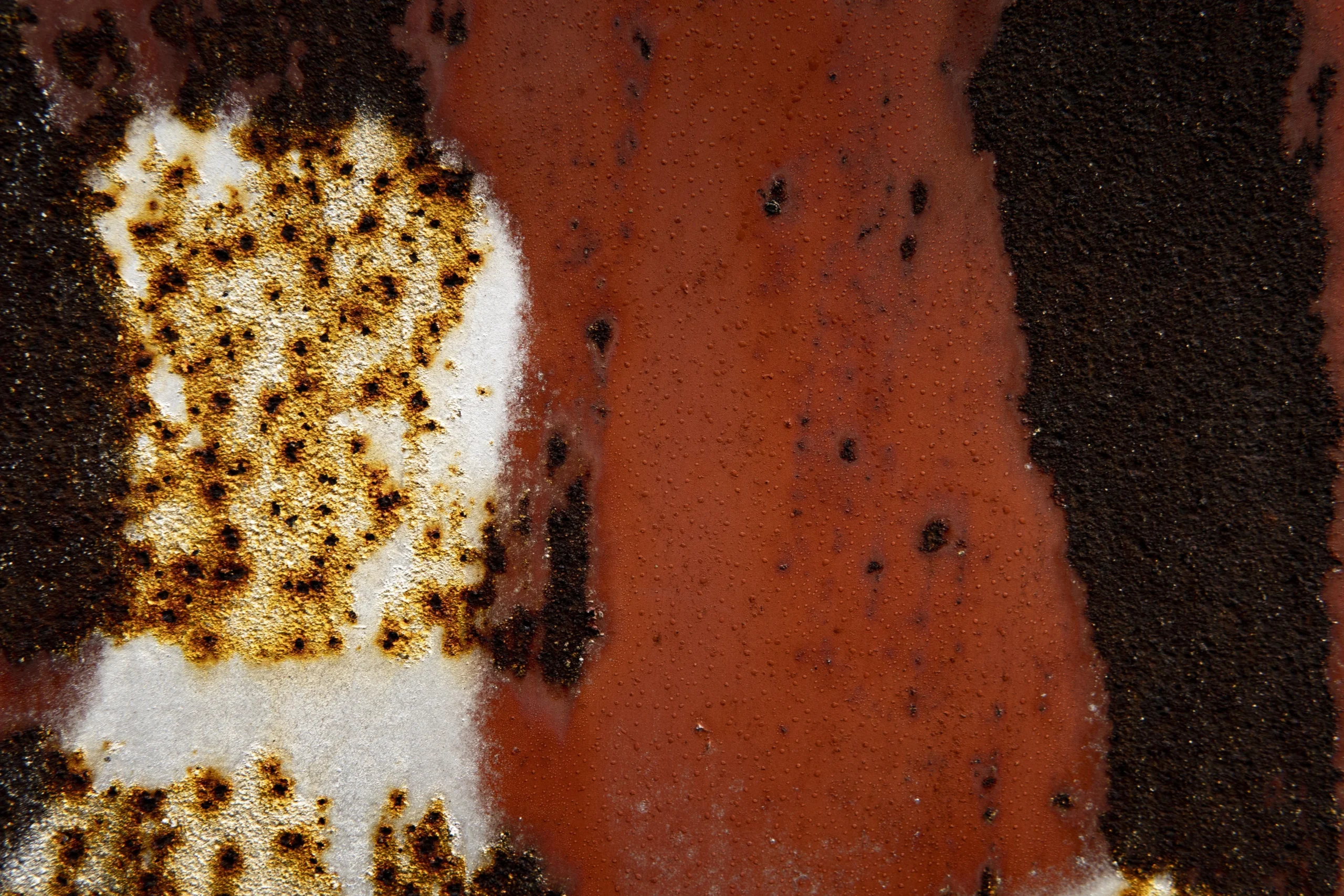 Wet Rot Treatment
